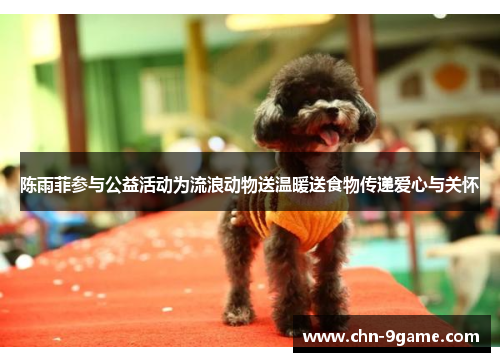 陈雨菲参与公益活动为流浪动物送温暖送食物传递爱心与关怀