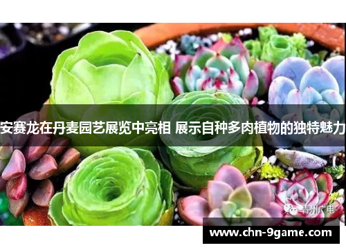 安赛龙在丹麦园艺展览中亮相 展示自种多肉植物的独特魅力