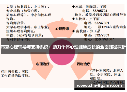 布克心理辅导与支持系统：助力个体心理健康成长的全面路径探析