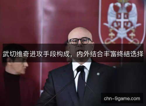 武切维奇进攻手段构成,内外结合丰富终结选择 武切维奇进攻手段构成,内外结合丰富终结选择